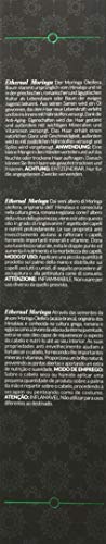 LENDAN - Hair Oil with Moringa Oil - 100 ml - Hair Serum - Hair Rejuvenator - Moisturizes, Nourishes and Gives Strength to the Hair