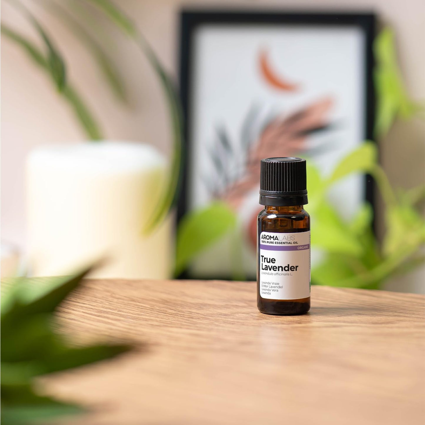 BIO - LAVENDER Essential Oil - 10mL - 100% Pure, Natural, Chemotyped and AB Certified - AROMA LABS (French Brand)