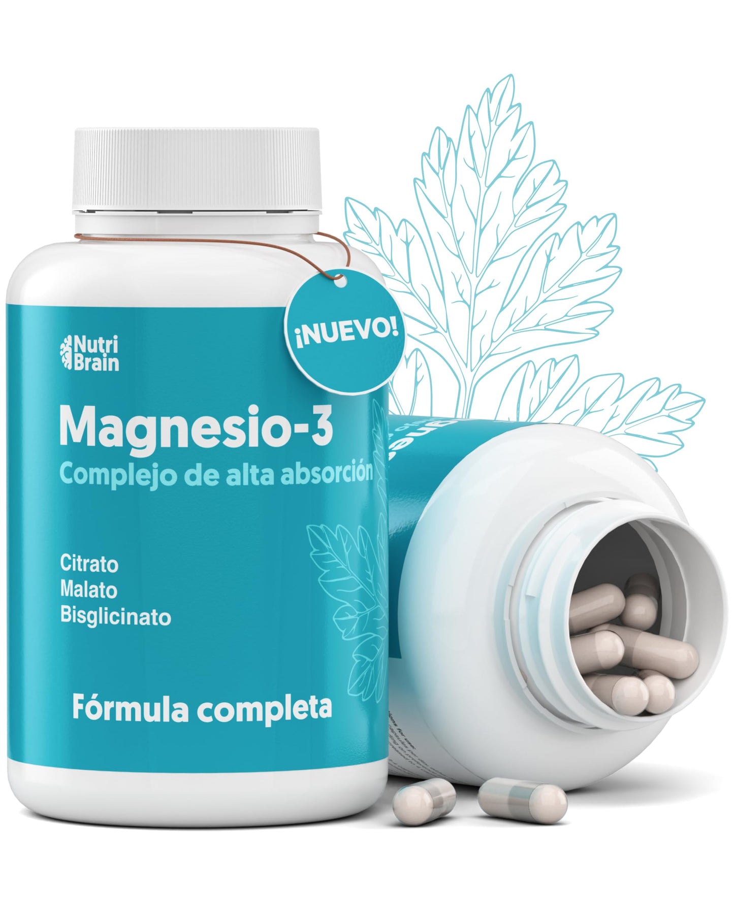 Magnesium 3X Premium Action: Malate, Bisglycinate and Citrate | Daytime Energy, Sleep and Muscle and Comprehensive Recovery | Maximum Absorption Formula | Digestive and Bone Health | 190 Capsules
