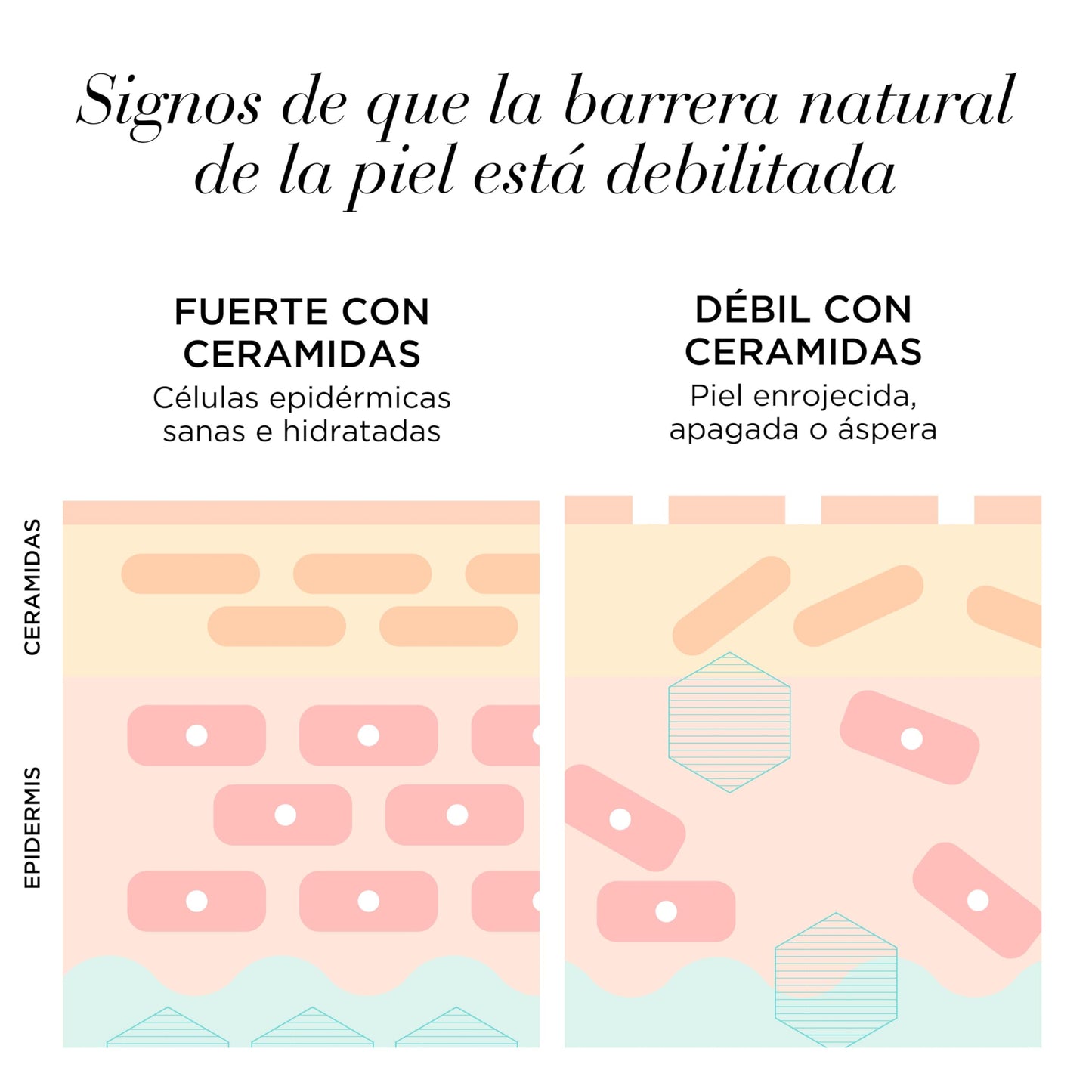 Elizabeth Arden - Vitamin C and Ceramide Serum Capsules, Stimulate and Prolong Luminosity, Reduce Skin Aging, Single Dose, Apply 1 a Day - 30 Capsules