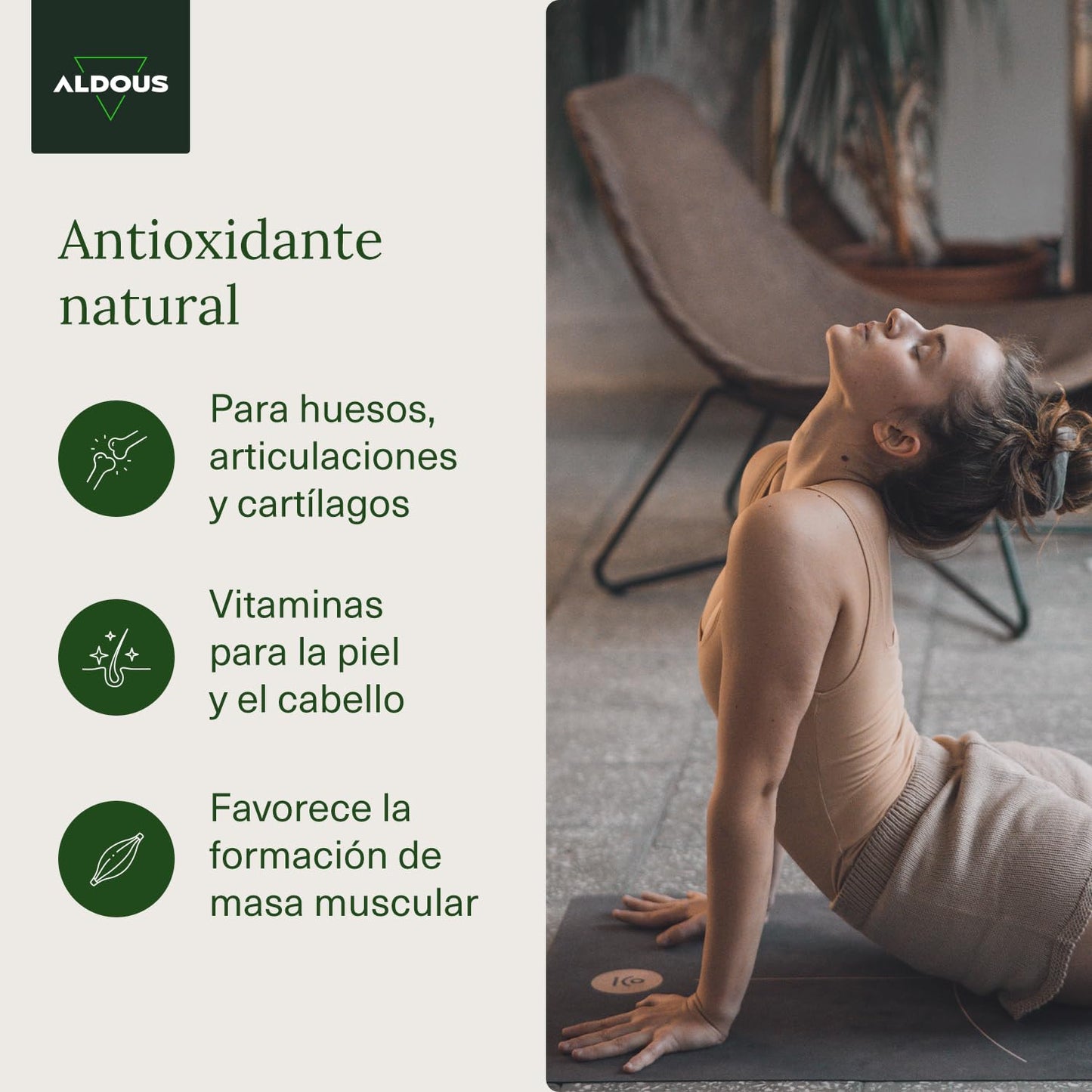 120 Collagen Capsules with Hyaluronic Acid + Coenzyme Q10 + Vitamins A, C, D and B12 + Zinc | Energy and Strong Joints | Hydrolyzed Collagen | 750mg | Made in Spain