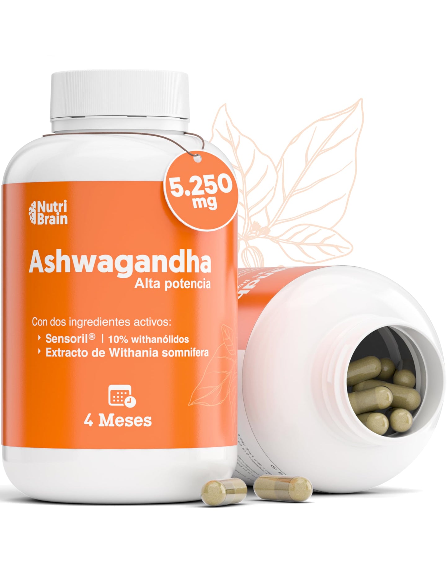 High Potency Ashwagandha: Adaptogen & Nootropic with Sensoril® (10% Withanolides) | Deep Sleep, Overall Wellbeing, Energy, Focus | 4 Months | 2x More Concentrated than KSM-66