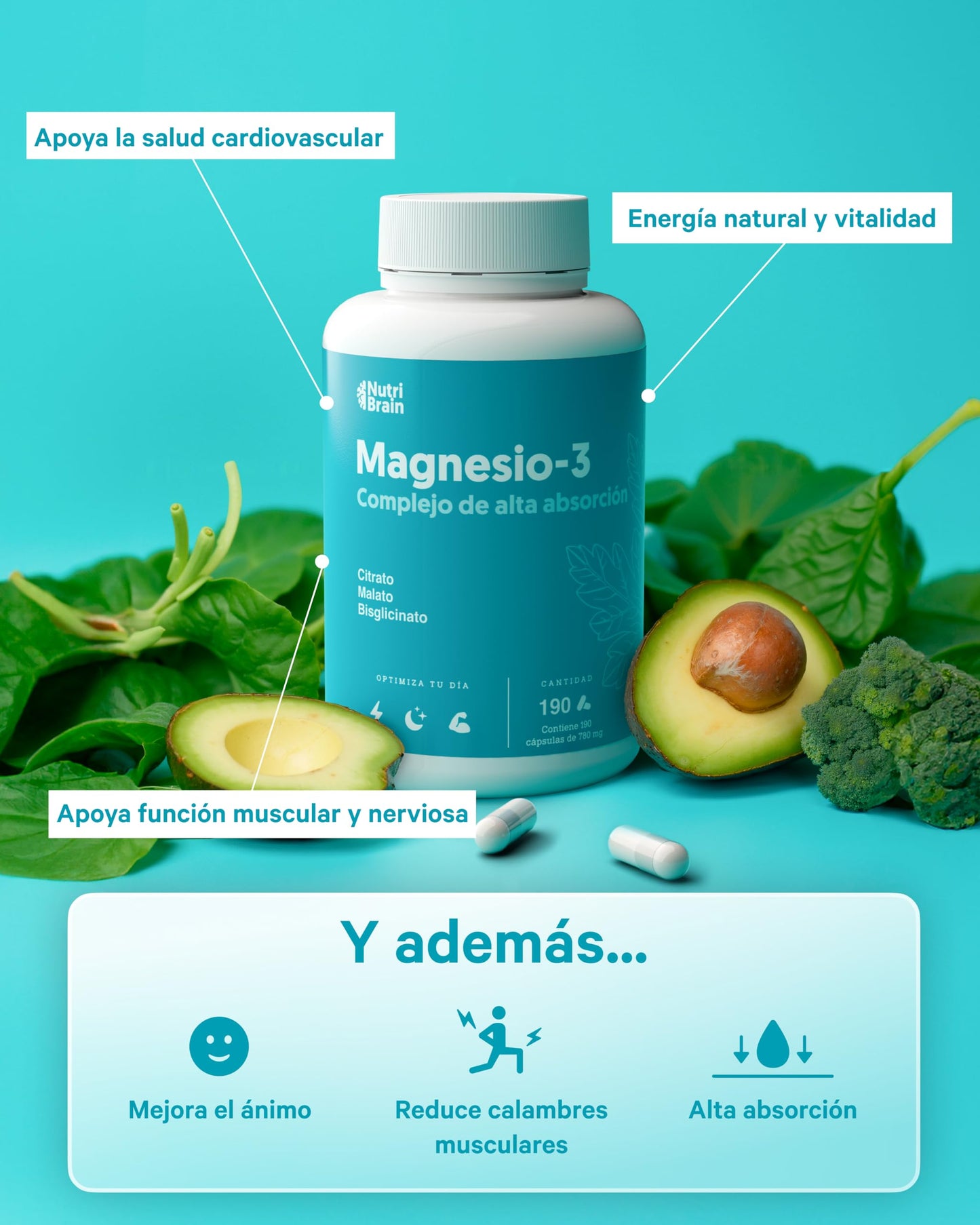 Magnesium 3X Premium Action: Malate, Bisglycinate and Citrate | Daytime Energy, Sleep and Muscle and Comprehensive Recovery | Maximum Absorption Formula | Digestive and Bone Health | 190 Capsules