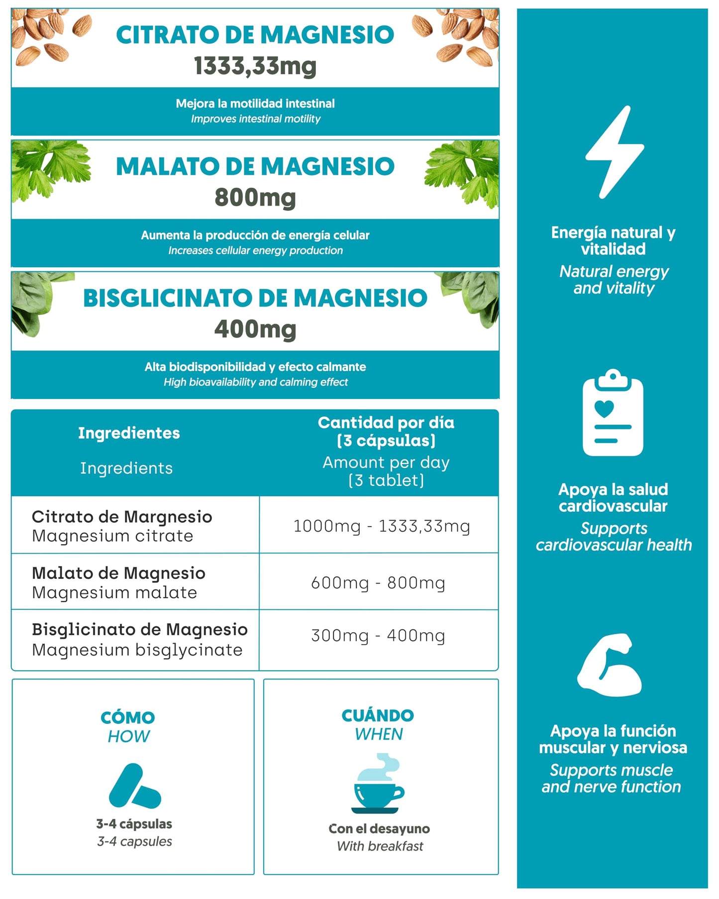 Magnesium 3X Premium Action: Malate, Bisglycinate and Citrate | Daytime Energy, Sleep and Muscle and Comprehensive Recovery | Maximum Absorption Formula | Digestive and Bone Health | 190 Capsules