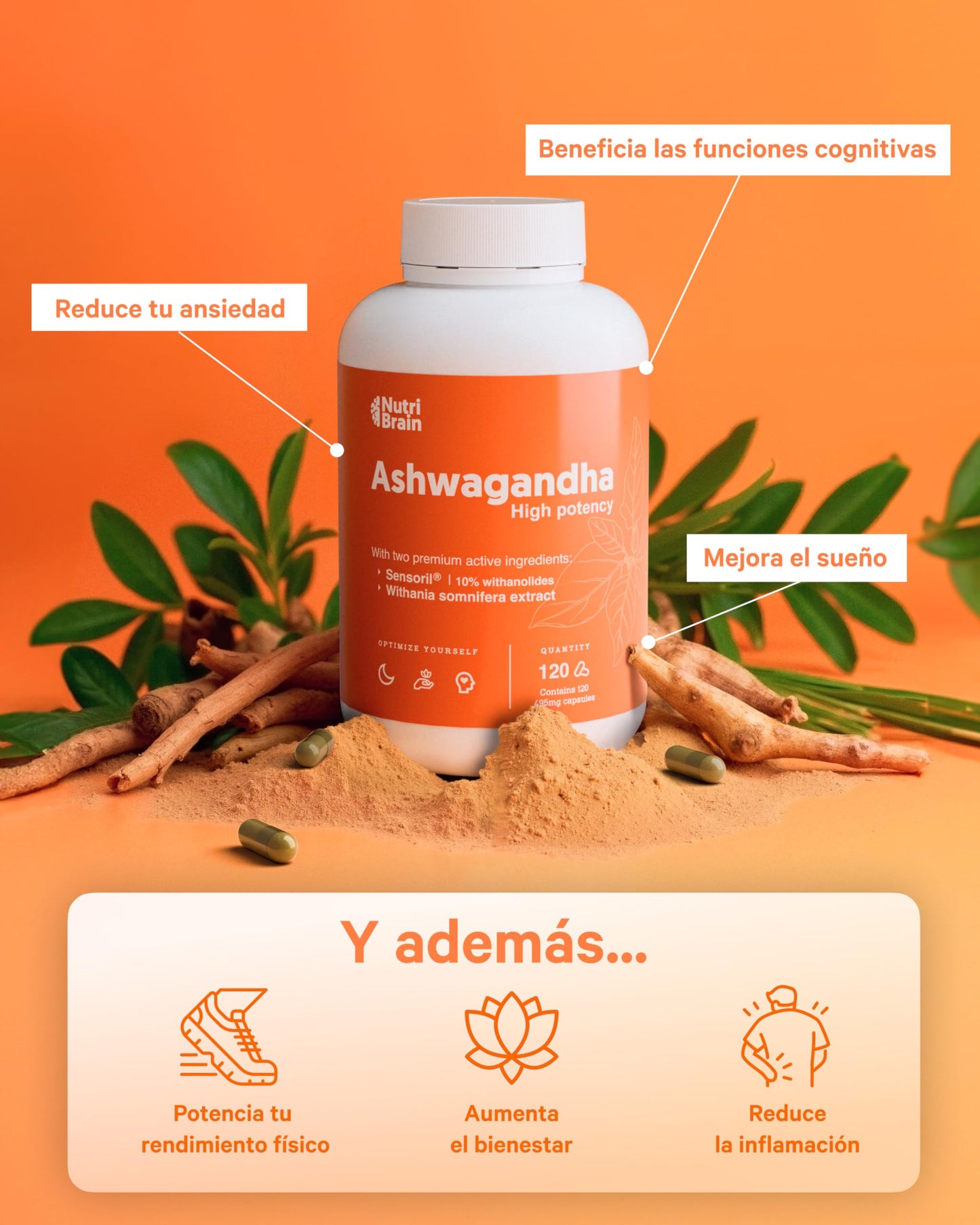 High Potency Ashwagandha: Adaptogen & Nootropic with Sensoril® (10% Withanolides) | Deep Sleep, Overall Wellbeing, Energy, Focus | 4 Months | 2x More Concentrated than KSM-66