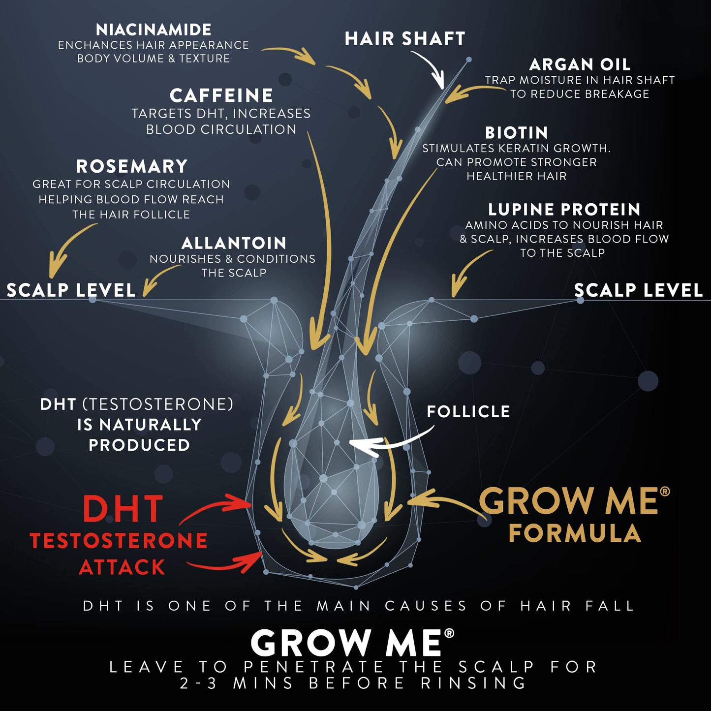 Watermans Grow Me – Champú para Crecimiento y Fortalecimiento Capilar