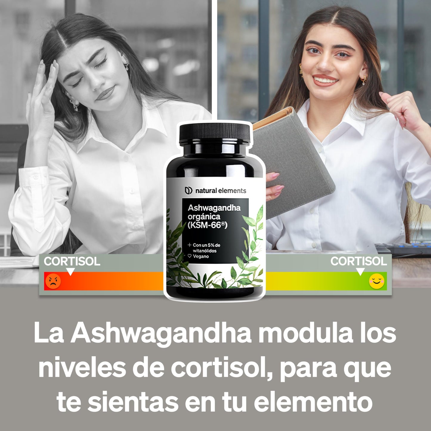 Organic Ashwagandha KSM-66 600mg – 180 Capsules – Vegan – Authentic Indian Dreamberry – No Additives – Laboratory Tested and Made in Germany