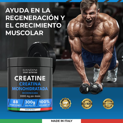 Bandini® Creatina Micronizada en Polvo - Monohidrato 100% Puro - Sin Sabor, Vegana, 88 Porciones (300g) - Rendimiento y Potencia Muscular