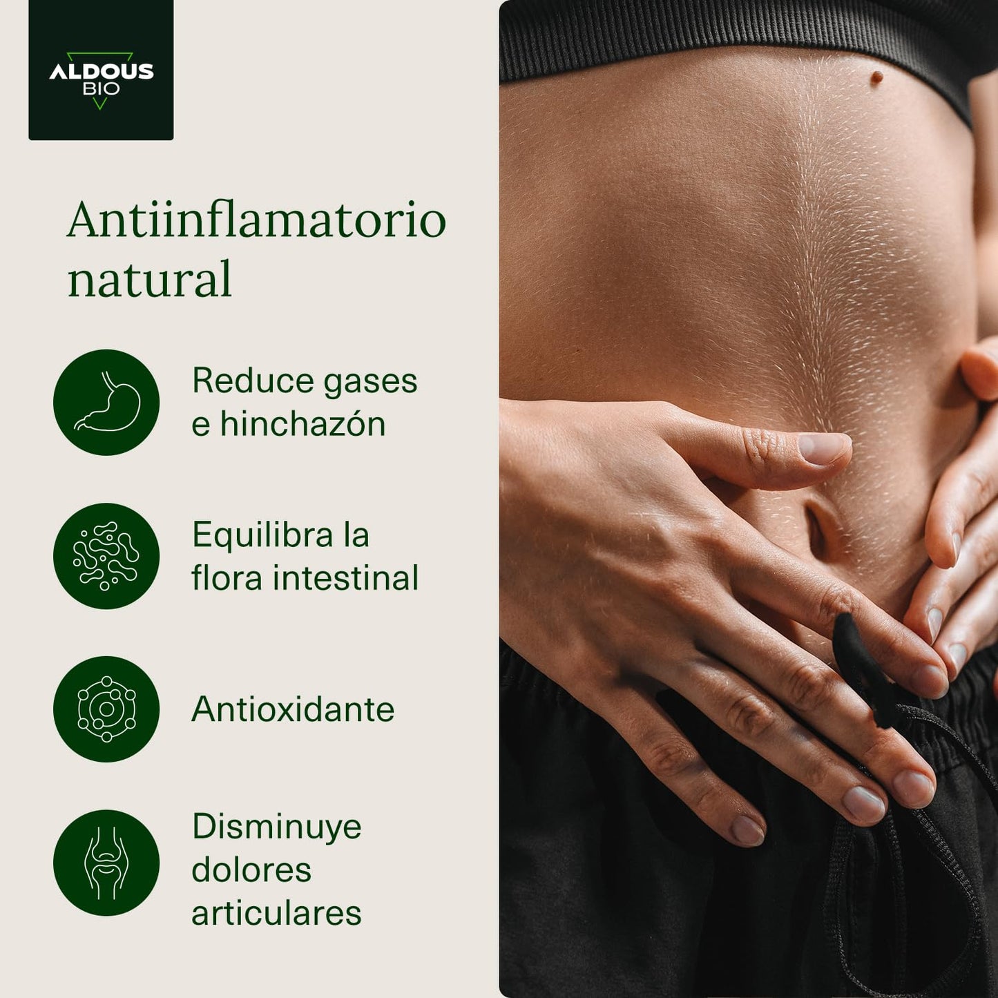 250 Cápsulas PROBIÓTICOS + BIO Cúrcuma con Jengibre y Pimienta Negra | 1460mg | con Curcumina y Piperina | Antiinflamatorio Natural | Fórmula Avanzada | Certificación Ecológica