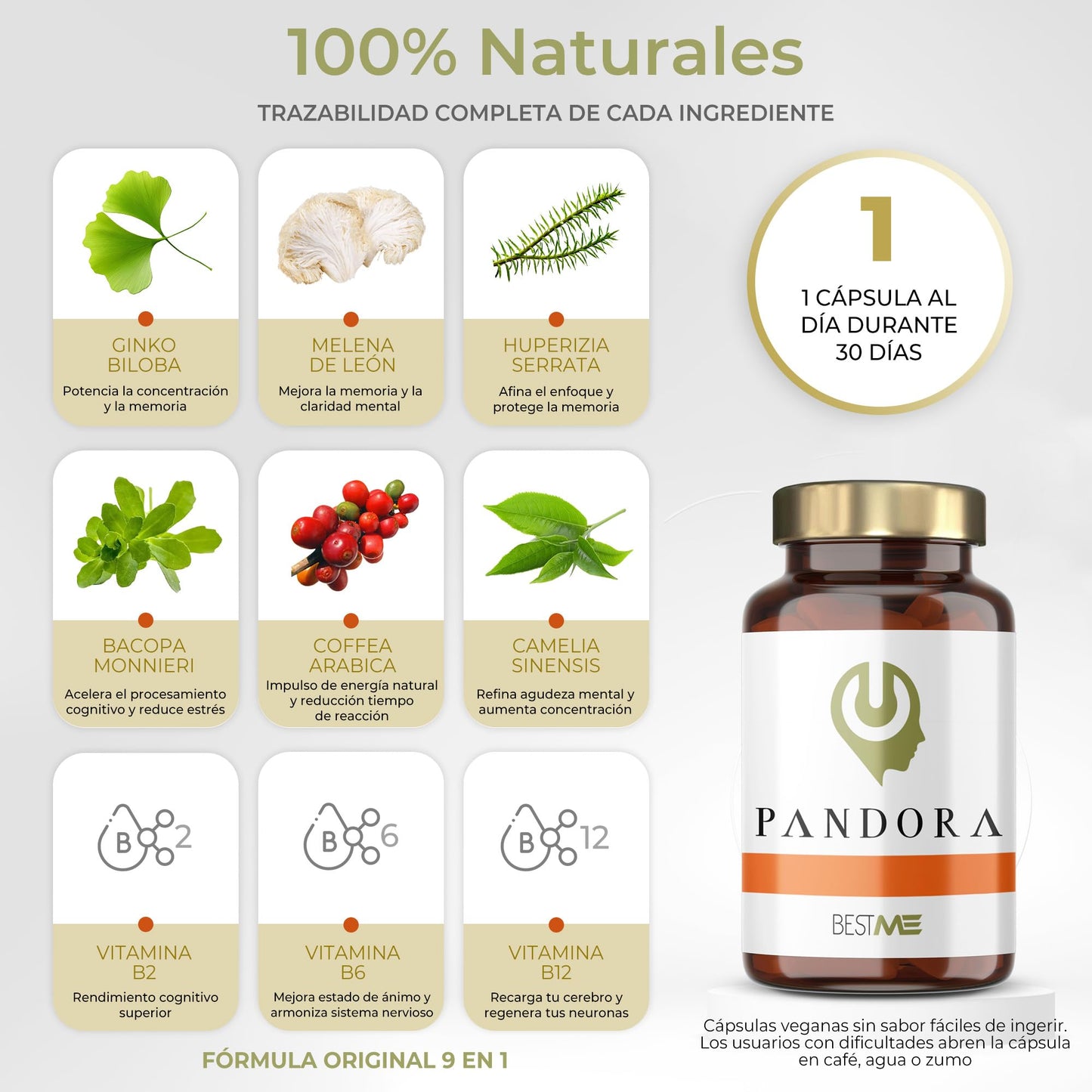 Bestme Lab Pandora | Nootrópico 100% Natural Fórmula Original 9 en 1 + Concentración + Memoria + Energía | Melena de León, Ginkgo Biloba, Bacopa Monnieri, Cafeína, L-Teanina, Vitaminas B12 B6 B2