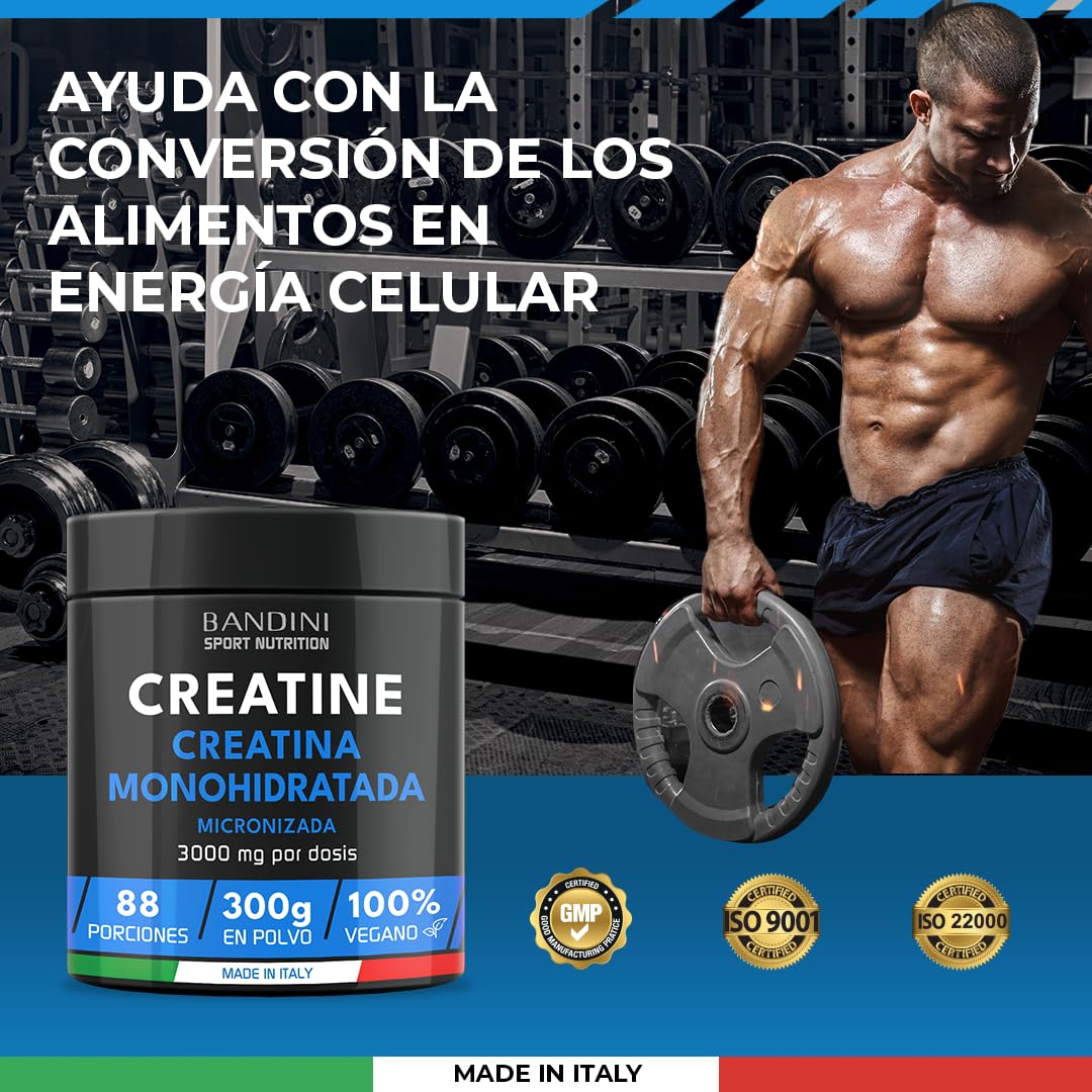 Bandini® Creatina Micronizada en Polvo - Monohidrato 100% Puro - Sin Sabor, Vegana, 88 Porciones (300g) - Rendimiento y Potencia Muscular